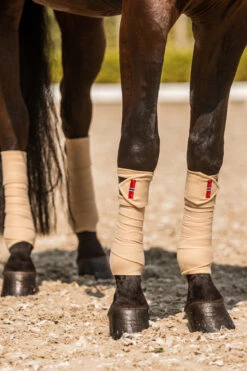 B Vertigo Amory Fleece Bandagen -Cavallo Verkäufe 18269 WTBE 2