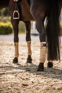 B Vertigo Amory Fleece Bandagen -Cavallo Verkäufe 18269 WTBE 3