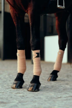 B Vertigo Laurel Fleecebandagen -Cavallo Verkäufe 18280 TEBR 2