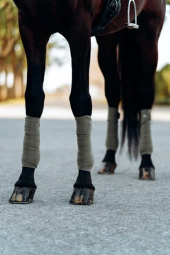 B Vertigo Laurel Fleecebandagen -Cavallo Verkäufe 18280 WGGR 2