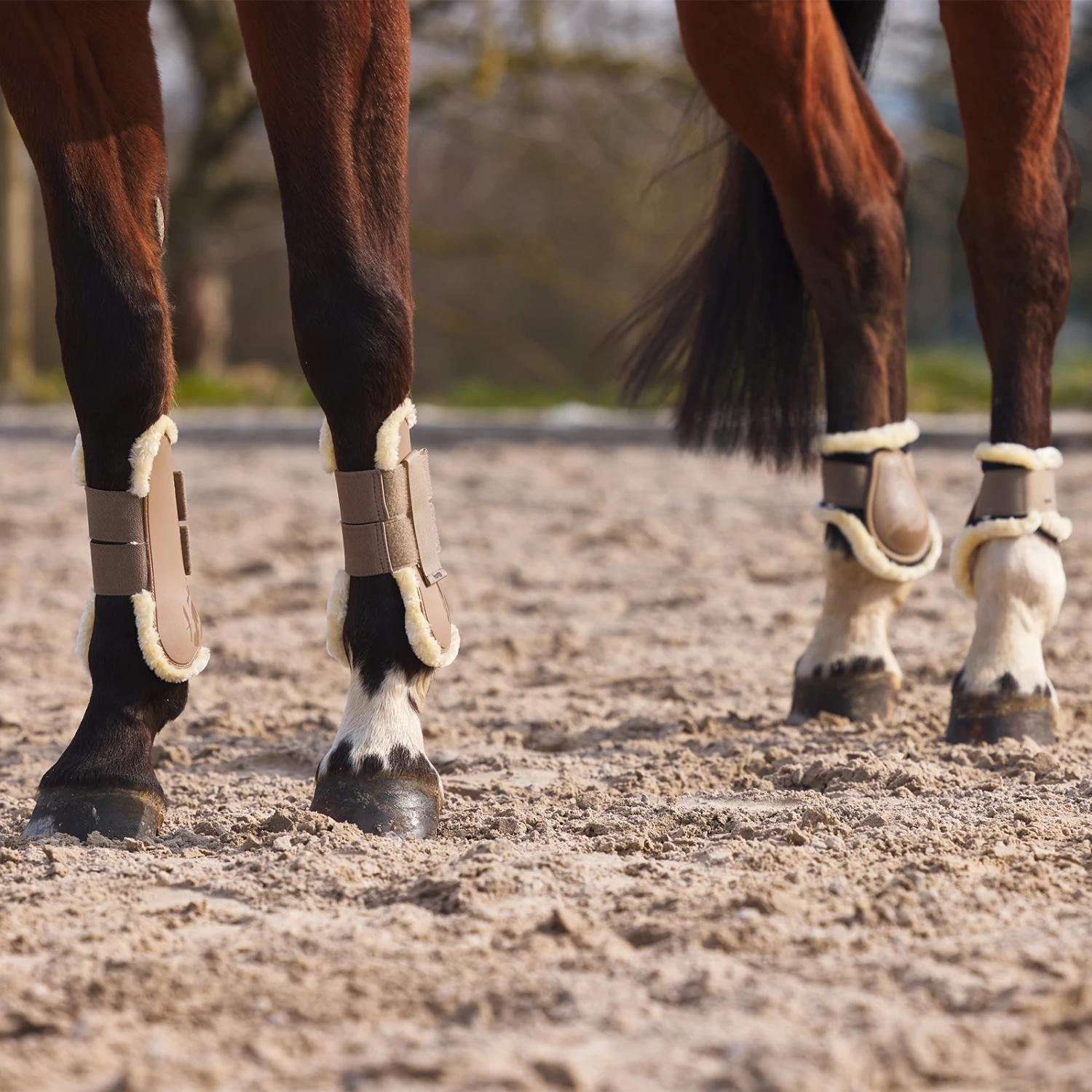 Horze Windsor Gamaschen Mit Kunstfellfutter 16 Horze Windsor Gamaschen Mit Kunstfellfutter – Bild 16