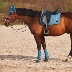 Horze Marquess Neopren-Gamaschen -Cavallo Verkäufe 19204 AGNB 7