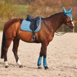 Horze Marquess Neopren-Gamaschen -Cavallo Verkäufe 19204 AGNB 9