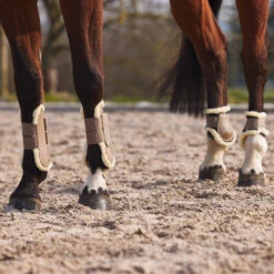 Horze Windsor Streichkappen Mit Kunstfellfutter 34 Horze Windsor Streichkappen Mit Kunstfellfutter -Cavallo Verkäufe 19262 LBR 5