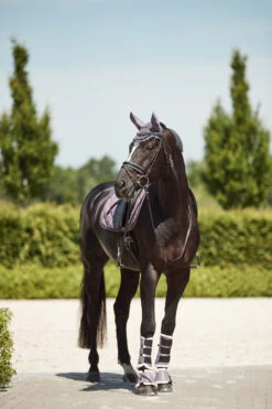 Horze Ghent Gamaschen Mit Kunstfell -Cavallo Verkäufe 19266 RGPU 7