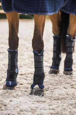 Horze Stallgamaschen Pro, Hinten 16 Horze Stallgamaschen Pro, Hinten -Cavallo Verkäufe 19409 bl 10