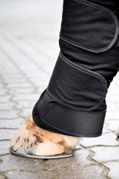 Horze Transportgamaschen 7 Horze Transportgamaschen -Cavallo Verkäufe 19506 bl 04