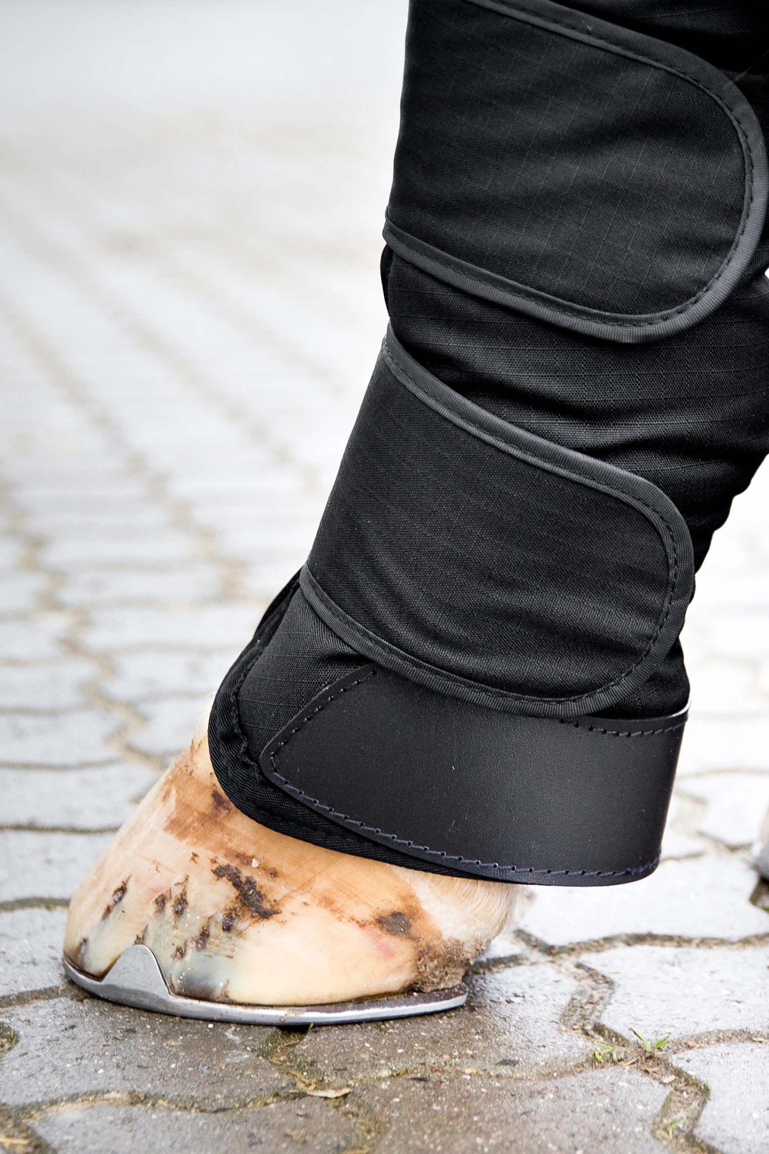 Horze Transportgamaschen 4 Horze Transportgamaschen – Bild 4