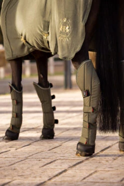 B Vertigo Wellington Transportgamaschen (4er Set) -Cavallo Verkäufe 19528 630 06