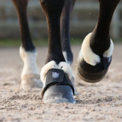 Horze Salerno Hufglocken -Cavallo Verkäufe 19771 bl 04