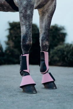 Horze Munich Hufglocken -Cavallo Verkäufe 19782 RTPI 2