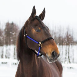 Finntack Yankee Nylon-Halfter, 20mm -Cavallo Verkäufe 22121 BL B 1