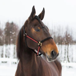 Finntack Yankee Nylon-Halfter, 20mm -Cavallo Verkäufe 22121 BL RE 1