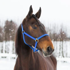 Finntack Yankee Nylon-Halfter, 20mm -Cavallo Verkäufe 22121 B 1