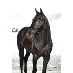 Finntack Yankee Nylon-Halfter, 20mm