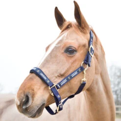 Horze Hamptons Halfter 17 Horze Hamptons Halfter -Cavallo Verkäufe 22243 PDB 1