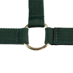 Nylon-Halfter, Offene Nase -Cavallo Verkäufe 22258 DGR 1