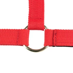 Nylon-Halfter, Offene Nase -Cavallo Verkäufe 22258 RE 1