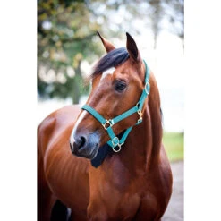 Nylon-Halfter, Gepolstert -Cavallo Verkäufe 22260 LB 1