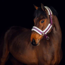 Horze Stanford Halfter Mit Kunstfellfutter -Cavallo Verkäufe 22279 EDPU 1
