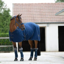 Horze Graz Halfter -Cavallo Verkäufe 22299 MJB 3