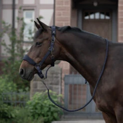 Horze Graz Halfter -Cavallo Verkäufe 22299 PDB 3