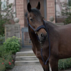 Horze Graz Halfter -Cavallo Verkäufe 22299 PDB 5