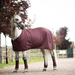 Horze Graz Halfter -Cavallo Verkäufe 22299 RRBR 2