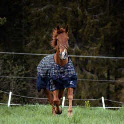 Horze Carlisle Halfter -Cavallo Verkäufe 22300 DBR 2