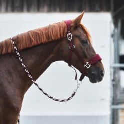 Horze Kiel Halfter Mit Fleece 21 Horze Kiel Halfter Mit Fleece -Cavallo Verkäufe 22301 DRE 2