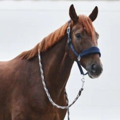 Horze Kiel Halfter Mit Fleece 29 Horze Kiel Halfter Mit Fleece -Cavallo Verkäufe 22301 VDB 2