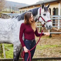 Horze Halfter Mit Lederdetails -Cavallo Verkäufe 22312 DRE 4