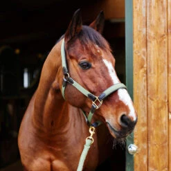 Horze Halfter Mit Lederdetails -Cavallo Verkäufe 22312 GR 2