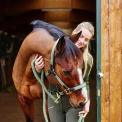 Horze Halfter Mit Lederdetails -Cavallo Verkäufe 22312 GR 3