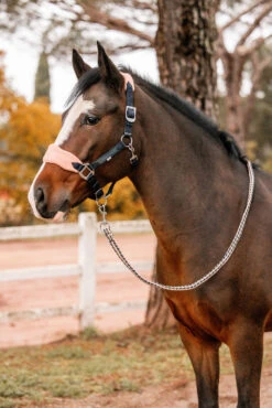 Horze Trixi Pony Halfter -Cavallo Verkäufe 22321 590 05