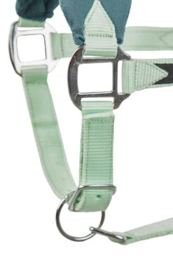 Horze Trixi Pony Halfter -Cavallo Verkäufe 22321 615 03