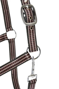 Horze Sudbury Haflter -Cavallo Verkäufe 22323 bl rrbr 03