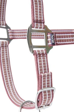 Horze Sudbury Haflter -Cavallo Verkäufe 22323 msre dtbe 02