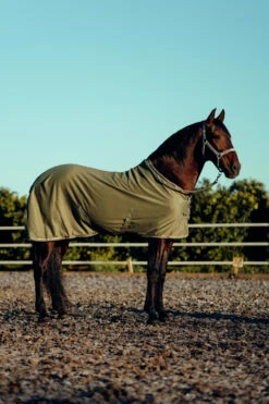 Horze Munich Halfter & Führstrick Set -Cavallo Verkäufe 22332 OVGR 2