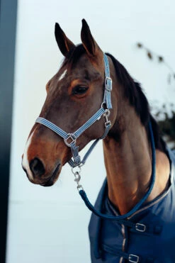 Horze Munich Halfter & Führstrick Set -Cavallo Verkäufe 22332 RPB 2