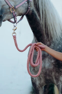 Horze Munich Halfter & Führstrick Set -Cavallo Verkäufe 22332 RTPI 3