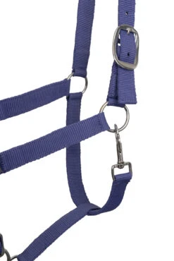 Horze Moreton Halfter, Führstrick Und Fliegenschutz Set