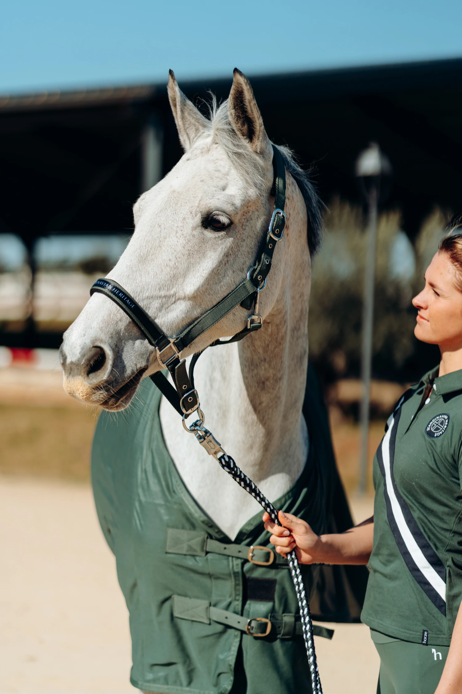 Horze Oslo Halfter 2 Horze Oslo Halfter – Bild 2