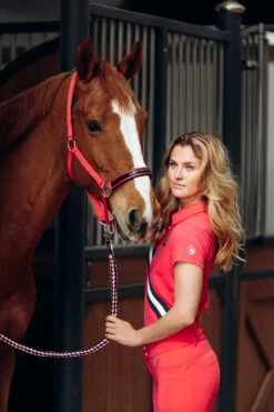 Horze Oslo Halfter 10 Horze Oslo Halfter -Cavallo Verkäufe 22335 RGRE 2