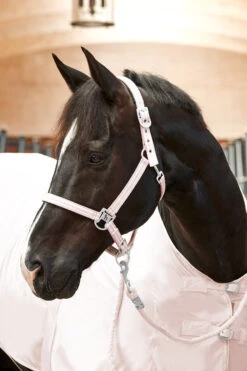 Horze Bari Halfter & Führstrick Set -Cavallo Verkäufe 22336 PPI 2