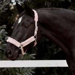 Horze Pomona Halfter Mit Kunstfell -Cavallo Verkäufe 22339 PI 2