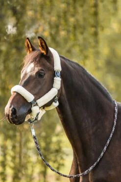 Horze Leighton Teens Collection Halfter Mit Kunstfell -Cavallo Verkäufe 22342 udgr 04