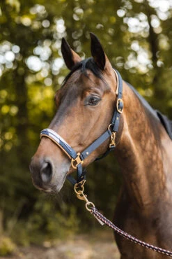 Horze Terrazzo Satin Halfter -Cavallo Verkäufe 22348 590 05