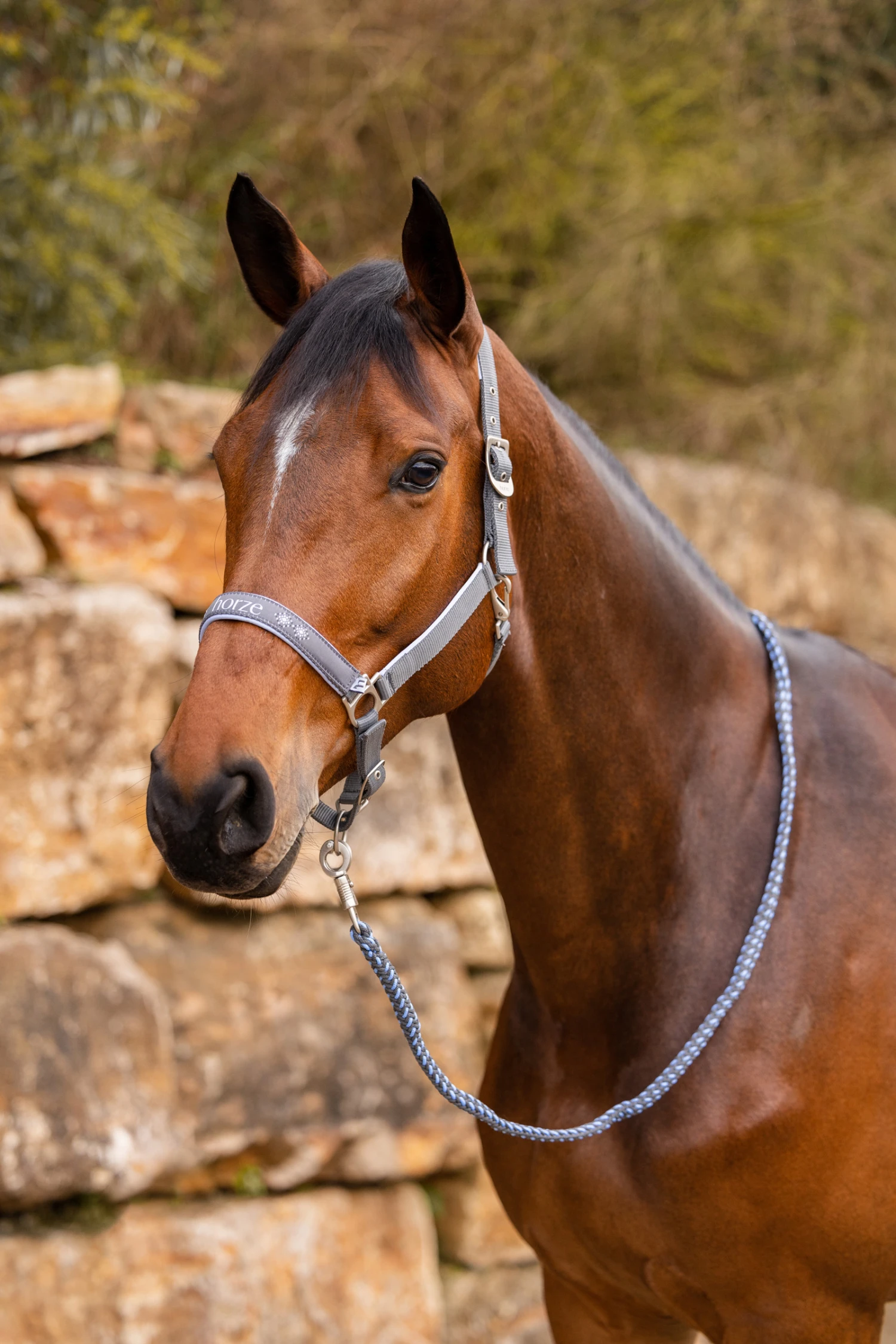 Horze Navajo Halfter 5 Horze Navajo Halfter – Bild 5