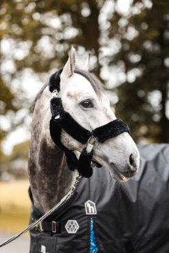 Horze Smoky Twilight Kunstfellhalfter 14 Horze Smoky Twilight Kunstfellhalfter -Cavallo Verkäufe 22366 024 05